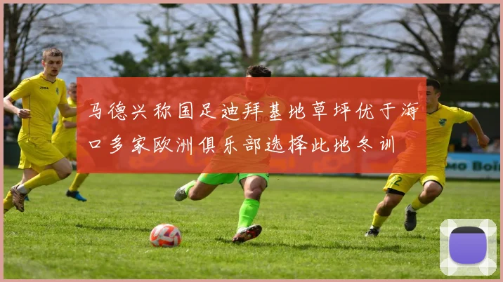 马德兴称国足迪拜基地草坪优于海口多家欧洲俱乐部选择此地冬训